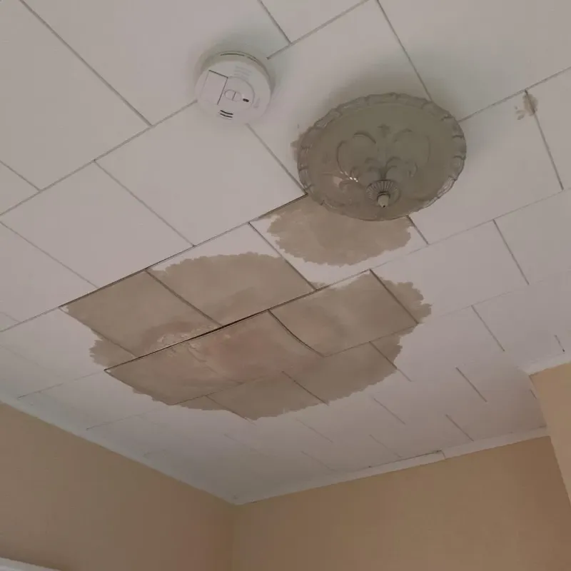 Ceiling Water Damage Repair in Clearwater, MN